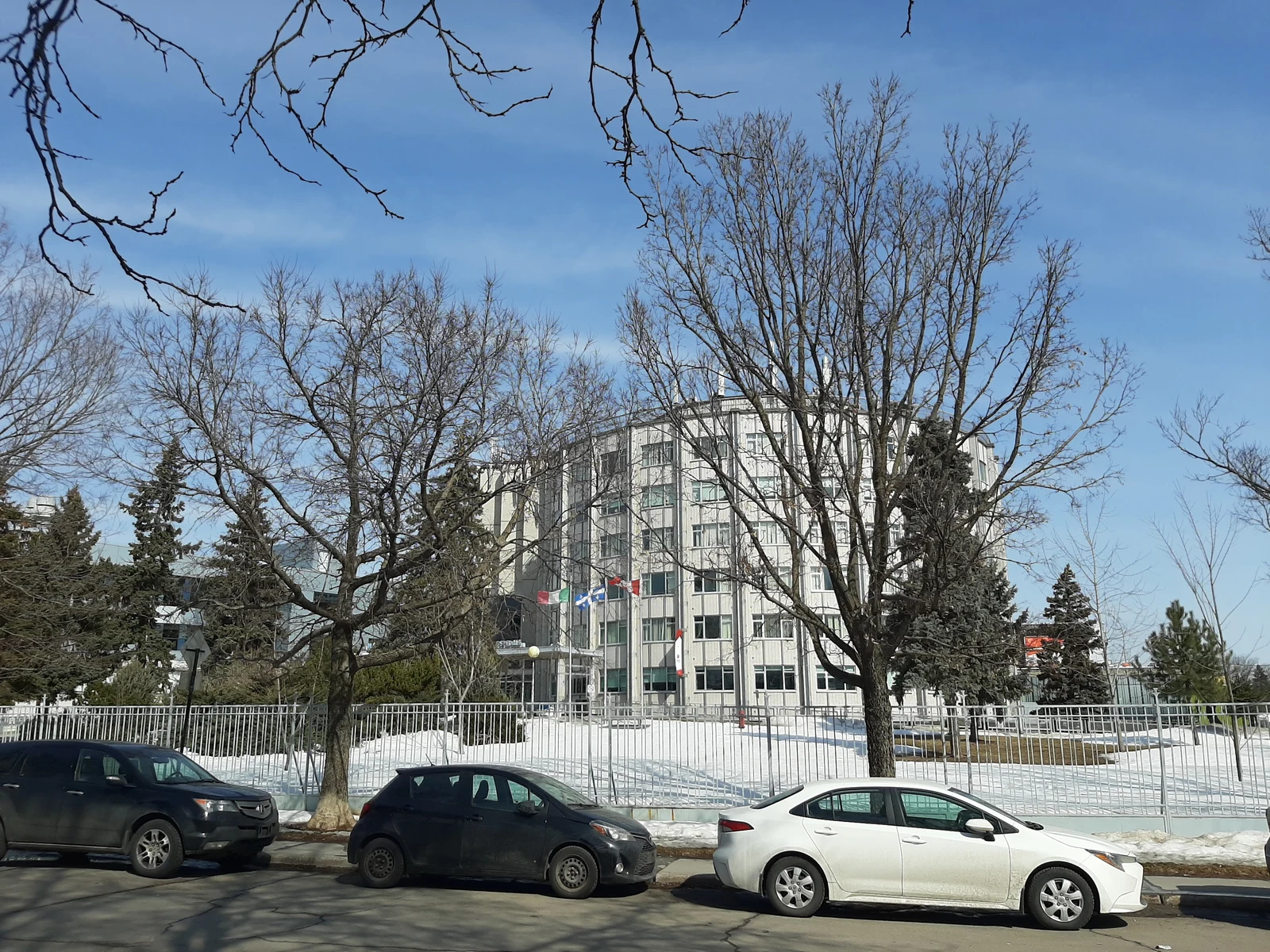 Facciata dell’ospedale Santa Cabrini tra alberi e neve, senza persone visibili